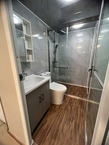 Modern bathroom with shower, vanity, and toilet.